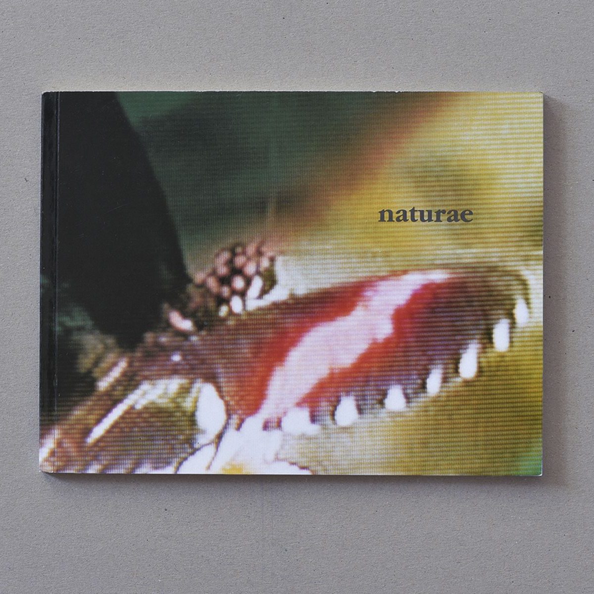 Katalog naturae