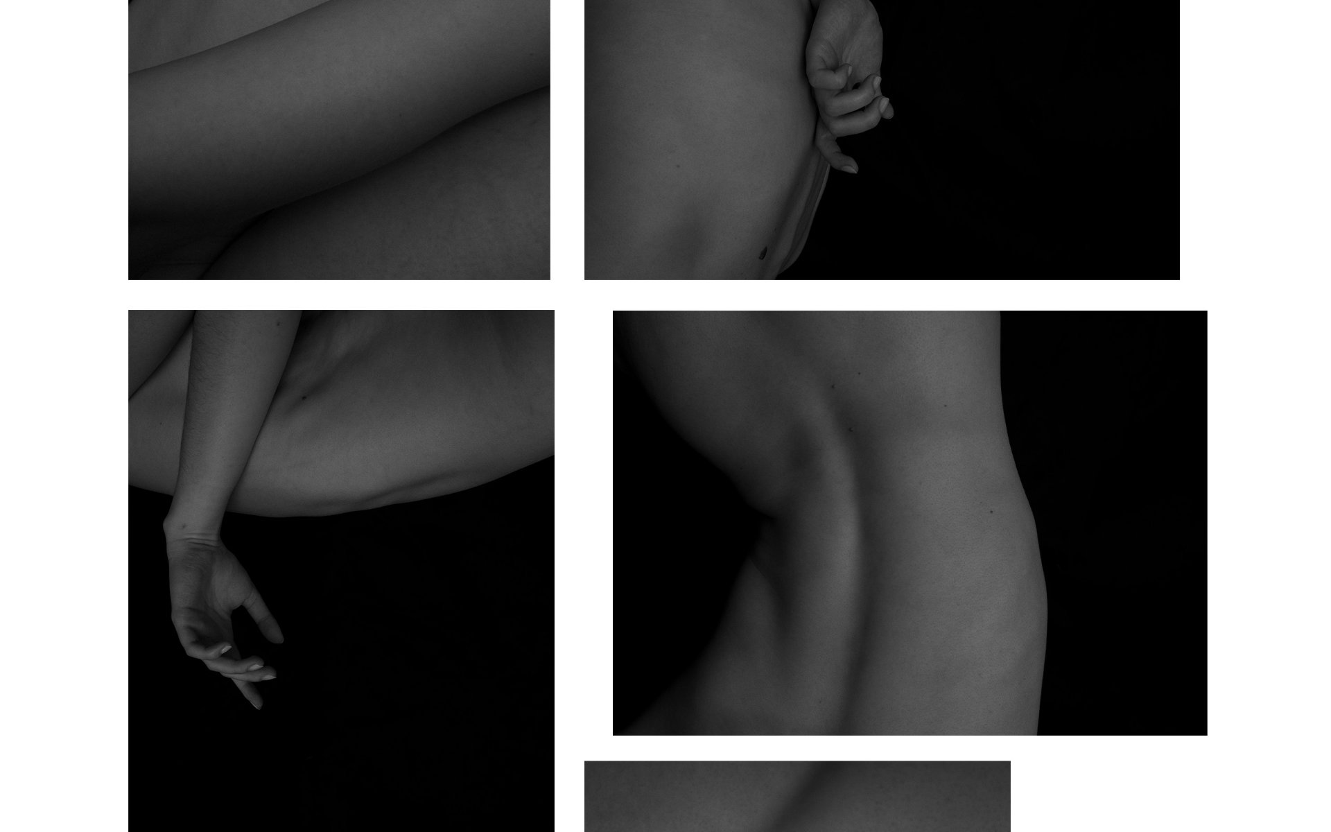 Eva Marmann, Body Shapes (Detail)
